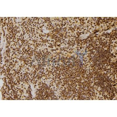 Валидация Affinity DF7472 - 19232