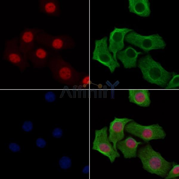 Валидация Affinity DF2929 - 13670