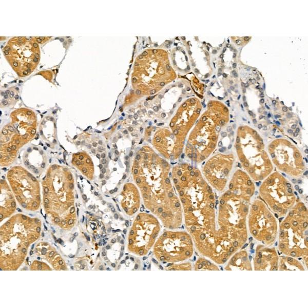 Валидация Affinity DF13247 - 8309