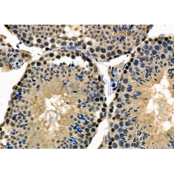 Валидация Affinity DF7830 - 19636