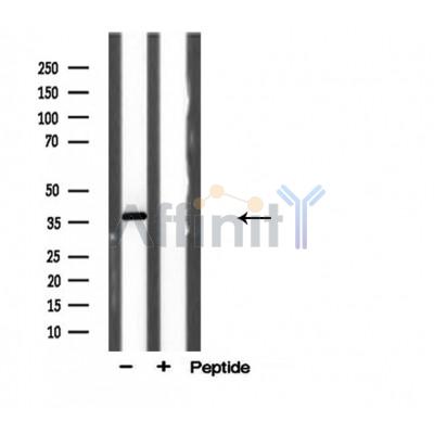 Валидация Affinity DF3758 - 14842