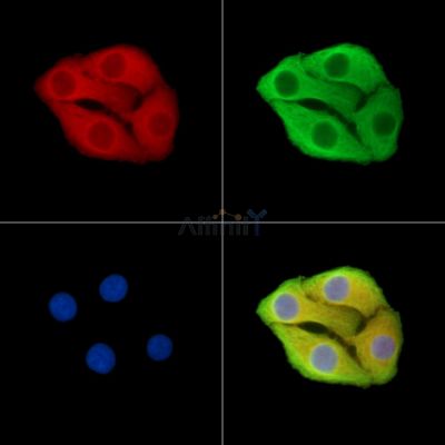 Валидация Affinity DF15359 - 11667