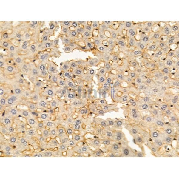 Валидация Affinity DF13591 - 9073