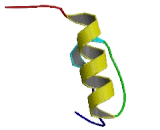 Zinc Finger Protein 423 (ZNF423)