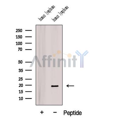 Валидация Affinity DF12571 - 7180