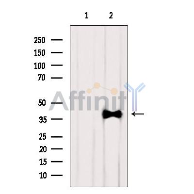 Валидация Affinity DF6359 - 17709