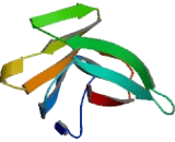 T-Cell Receptor Alpha (TCRa) T-Cell Receptor Alpha (TCRa)