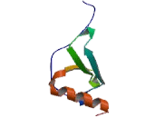 Beta-Thromboglobulin (bTG) Beta-Thromboglobulin (bTG)