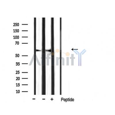 Валидация Affinity AF5247 - 2743