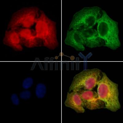 Валидация Affinity DF4350 - 15800