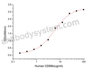 Валидация активности AntibodySystem AHD98101