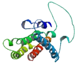 Taste Receptor Type 2 Member 14 (TAS2R14) Taste Receptor Type 2 Member 14 (TAS2R14)