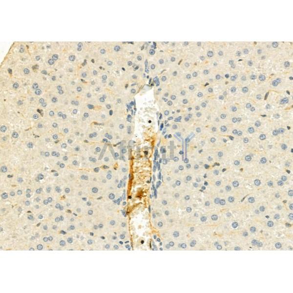 Валидация Affinity DF6544 - 17978