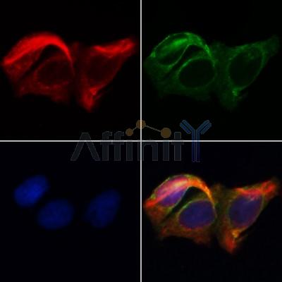 Валидация Affinity AF5141 - 2534