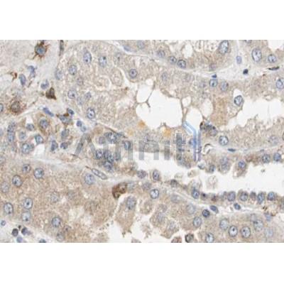 Валидация Affinity AF5199 - 2650