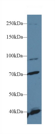 10206
