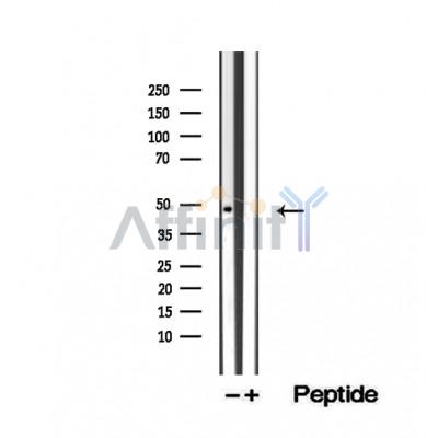 Валидация Affinity DF12508 - 7098