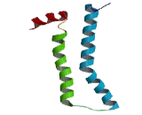 Trace Amine Associated Receptor 2 (TAAR2) Trace Amine Associated Receptor 2 (TAAR2)