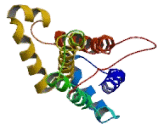 Taste Receptor Type 2 Member 38 (TAS2R38) Taste Receptor Type 2 Member 38 (TAS2R38)