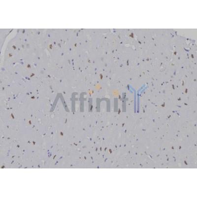 Валидация Affinity DF6936 - 18548