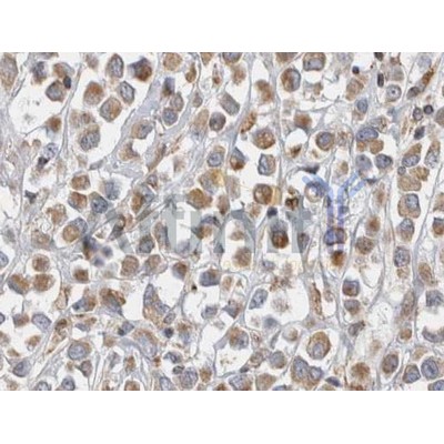 Валидация Affinity AF5134 - 2517