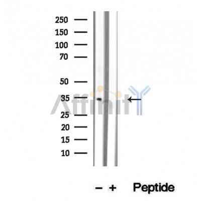 Валидация Affinity DF12328 - 6736