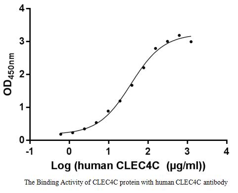 Функциональный ИФА: связывание антител к CLEC4C