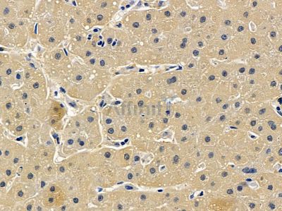 Валидация Affinity DF13438 - 8761