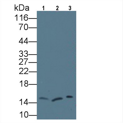 10512