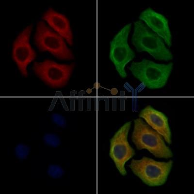 Валидация Affinity AF7687 - 4373