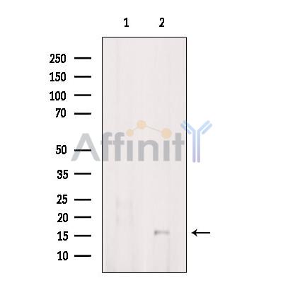 Валидация Affinity DF9129 - 21450