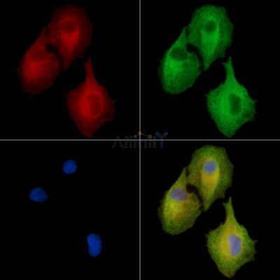 Валидация Affinity DF15849 - 12357