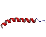 Secretin (SCT) Secretin (SCT)