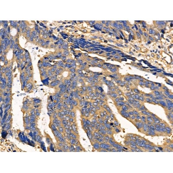 Валидация Affinity DF3564 - 14515