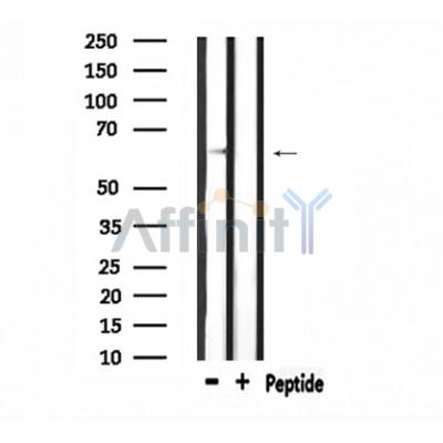 Валидация Affinity DF4510 - 16070
