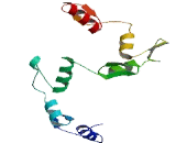 Zinc Finger Protein 486 (ZNF486)