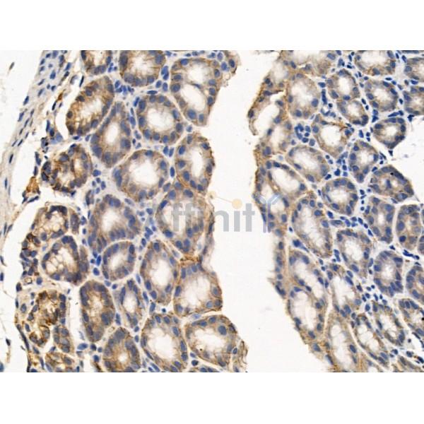 Валидация Affinity DF13384 - 8640