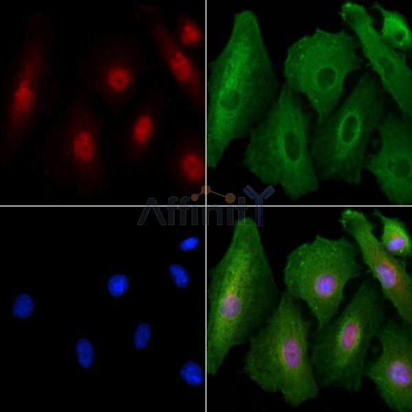 Валидация Affinity DF2656 - 13350