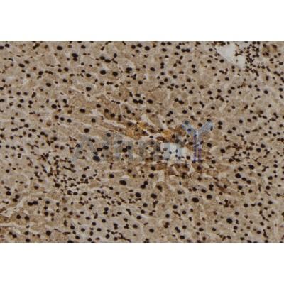 Валидация Affinity DF12115 - 6254