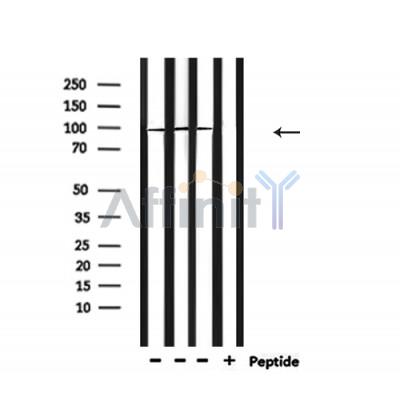 Валидация Affinity AF7023 - 4175