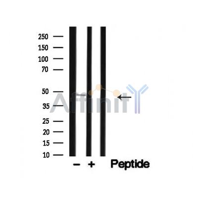 Валидация Affinity AF4785 - 2405