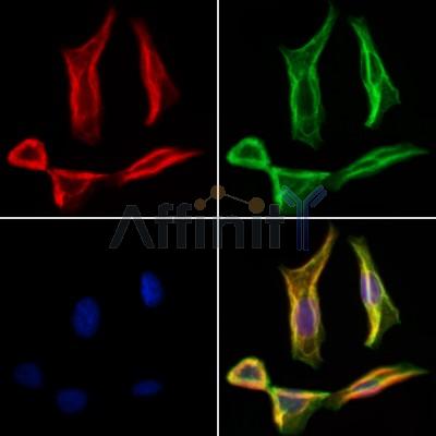 Валидация Affinity DF3929 - 15118