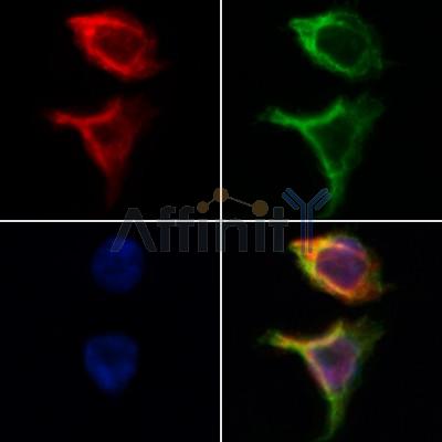 Валидация Affinity DF12406 - 6898