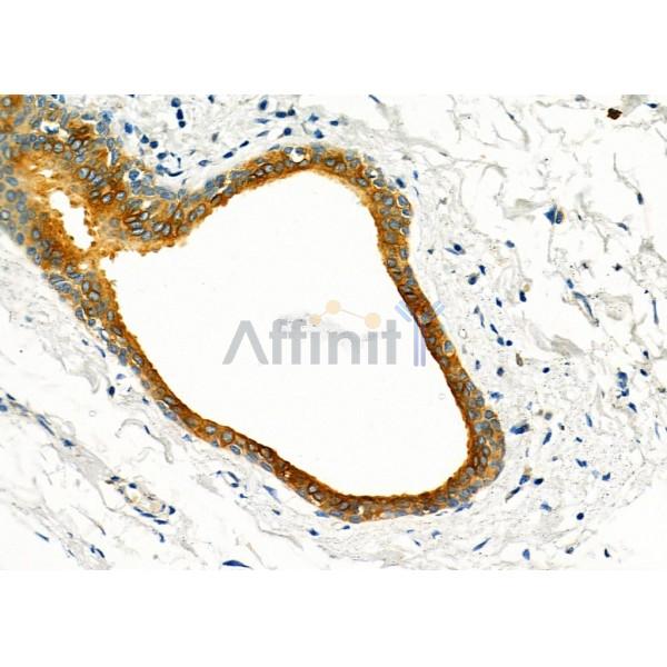 Валидация Affinity DF9497 - 22118