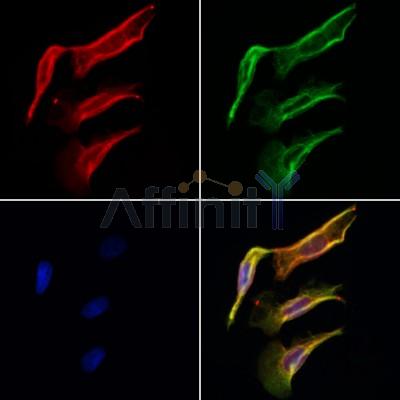 Валидация Affinity DF6508 - 17914