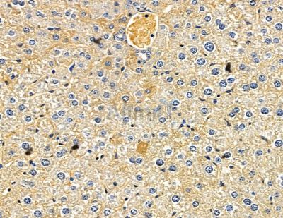 Валидация Affinity DF15483 - 11857