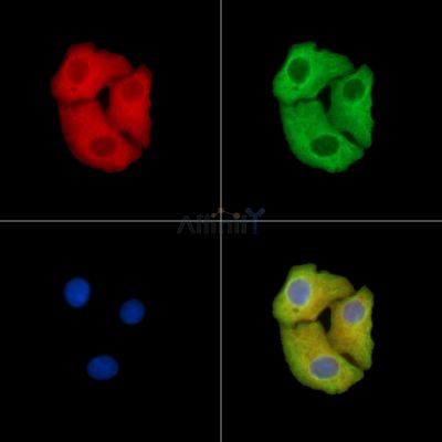 Валидация Affinity DF14374 - 10293