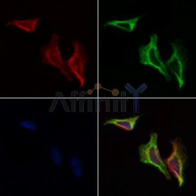 Валидация Affinity DF3274 - 14130