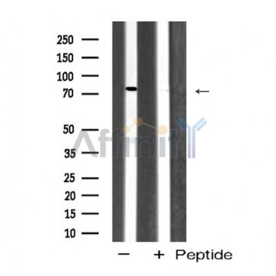 Валидация Affinity AF5421 - 3066