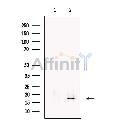 Валидация Affinity DF13483 - 8852